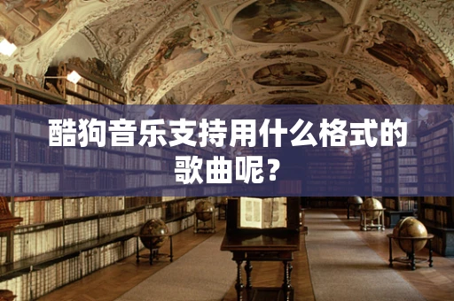 酷狗音乐支持用什么格式的歌曲呢？