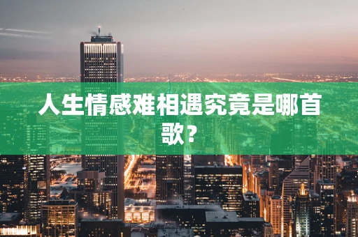 人生情感难相遇究竟是哪首歌？