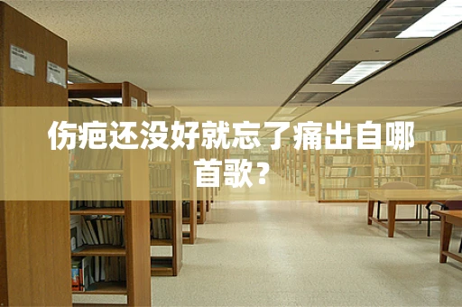 伤疤还没好就忘了痛出自哪首歌？