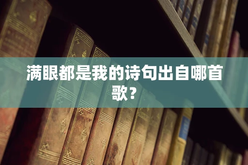 满眼都是我的诗句出自哪首歌？