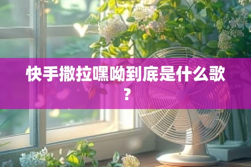 快手撒拉嘿呦到底是什么歌？