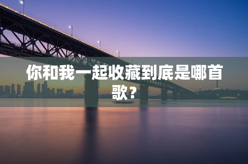 你和我一起收藏到底是哪首歌？