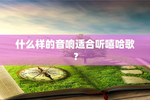 什么样的音响适合听嘻哈歌？