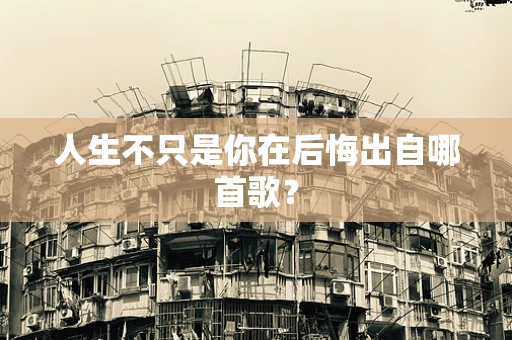 人生不只是你在后悔出自哪首歌？