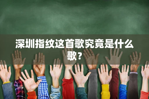 深圳指纹这首歌究竟是什么歌？