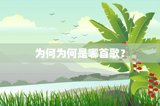 为何为何是哪首歌？