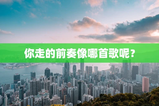 你走的前奏像哪首歌呢？