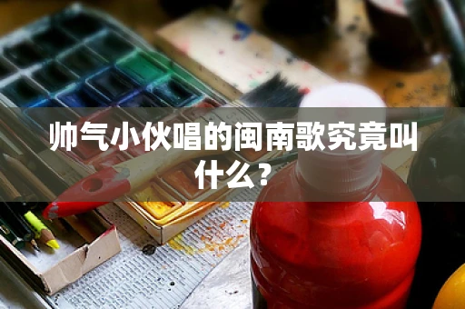 帅气小伙唱的闽南歌究竟叫什么？