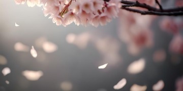但愿余生不再来出自哪首歌？
