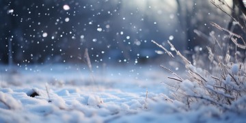 雪一遍一遍到底是哪首歌？