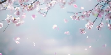 敌不过你的容颜出自哪首歌？