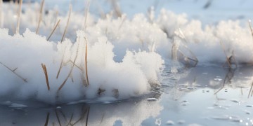 雪化的太快出自哪首歌？