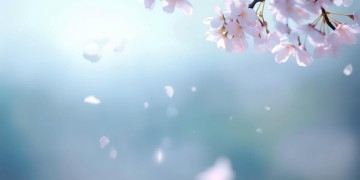 我也没来过是哪首歌？