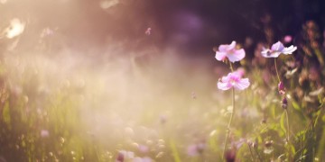 星期天有什么歌？