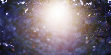 采撷第一缕晨曦究竟出自哪首歌？