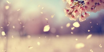 如果留不住就别勉为其难出自哪首歌？