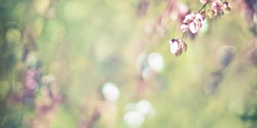 不修不修呀等待回头到底是什么歌？
