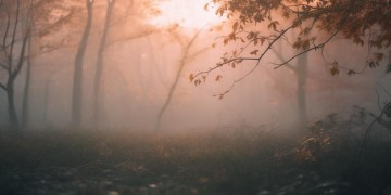 无助无望无奈出自什么歌？