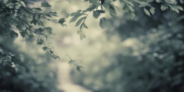 你牵我的手究竟是哪首歌？