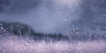 想你的夜里是哪首歌？