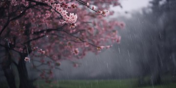 什么风雨究竟是哪首歌？