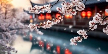 兰州的春天要来了出自哪首歌？